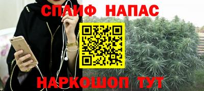 шишки Апшеронск