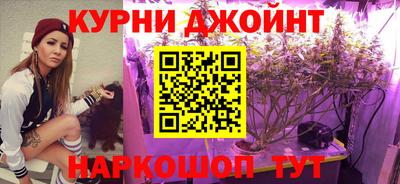 шишки Апшеронск