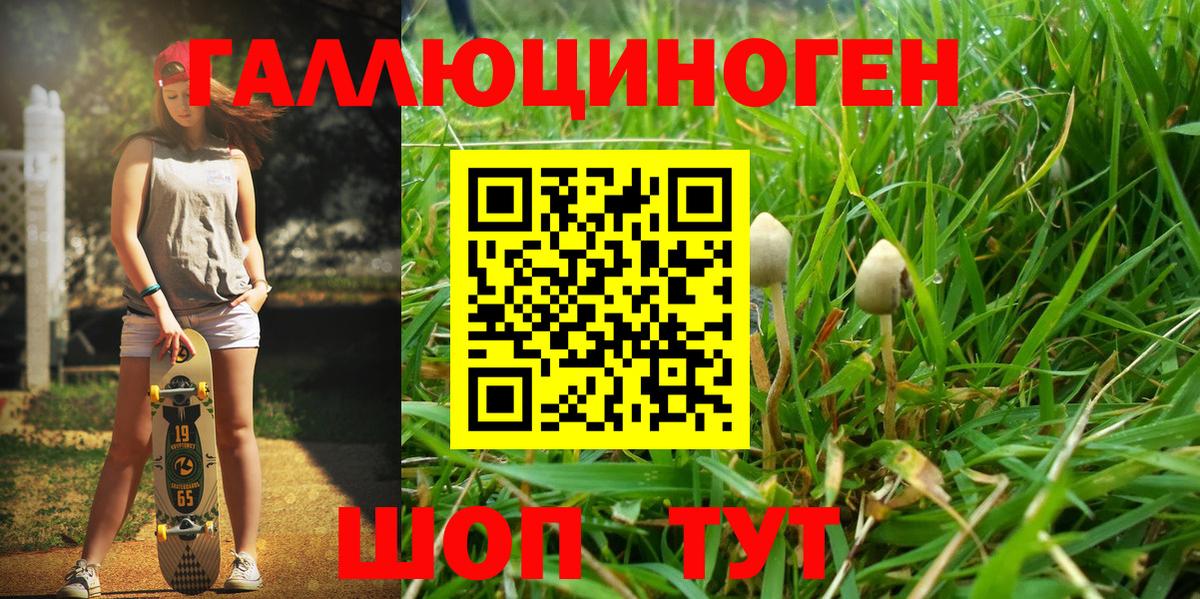 Бор  Галлюциногенные грибы MAGIC MUSHROOMS  Вход с VPN 